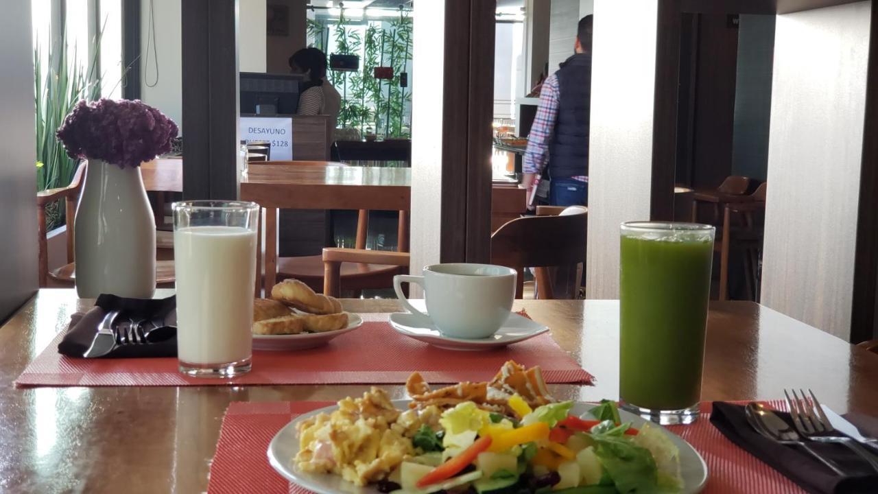 Terrass Hotel Zamora 사모라 데 이달고 외부 사진