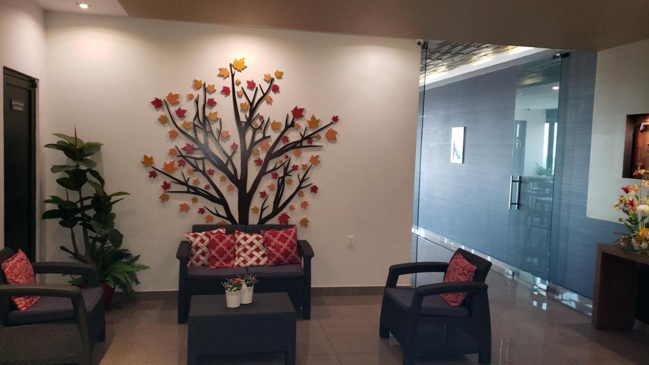 Terrass Hotel Zamora 사모라 데 이달고 외부 사진
