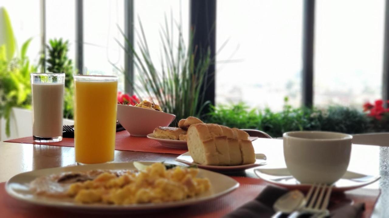 Terrass Hotel Zamora 사모라 데 이달고 외부 사진